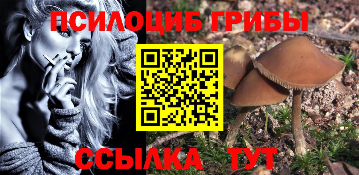 Галлюциногенные грибы Cubensis Гусь-Хрустальный